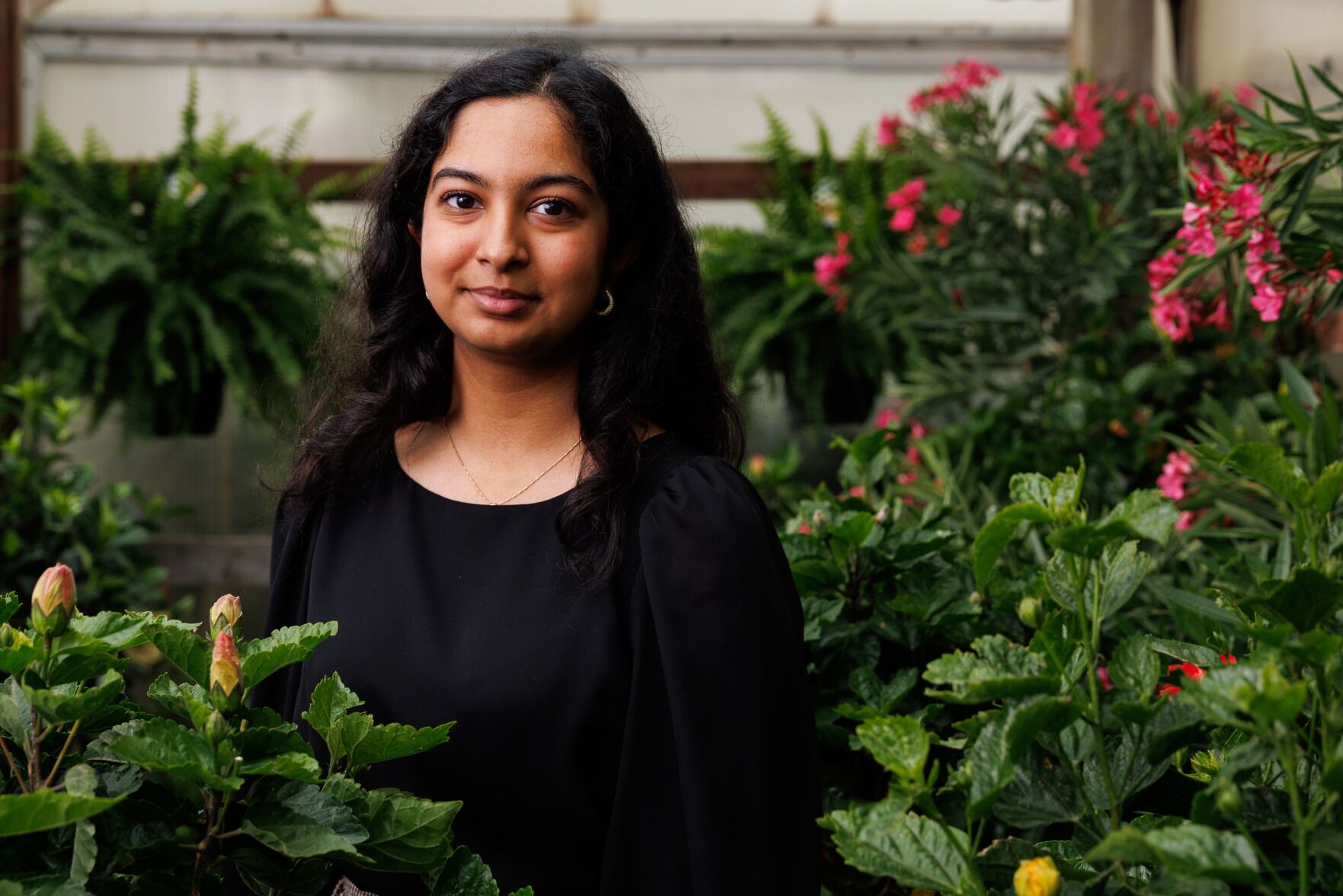 Ashritha Chiguluri